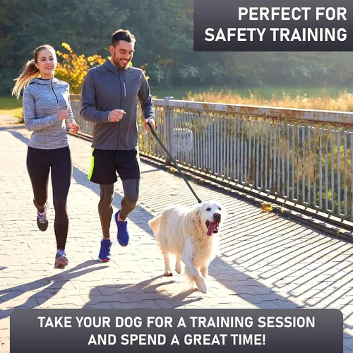 Miniatura 6 de Biothane - Correa para perro extra resistente, fabricada en Estados Unidos, correas impermeables para perros grandes, medianos y pequeños, correa