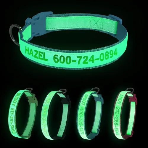 Collares de perro personalizados reflectantes Wlitchi, collares de identificación luminosa personalizados bordados con nombre y número de teléfono,