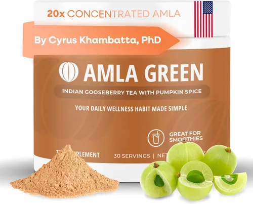 Miniatura 10 de Suplemento de superalimento en polvo Amla con especias de calabaza, 20 veces amla ultra concentrado, hecho con canela, jengibre, nuez moscada