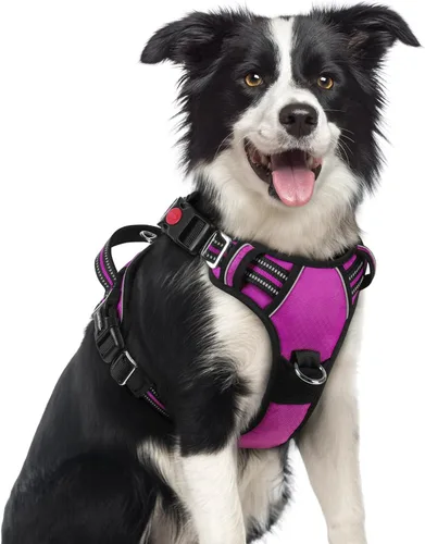 Miniatura 12 de rabbitgoo Arnés para perro de tamaño pequeño, chaleco para perro sin tirones con 3 hebillas, arnés ajustable y acolchado suave para mascotas con asa