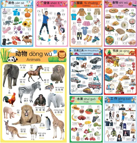 Miniatura 2 de N/A/ Juego de 10 carteles de aprendizaje chino para niños. Inspirado en Montessori. Bilingüe con chino simplificado, inglés y pinyin.