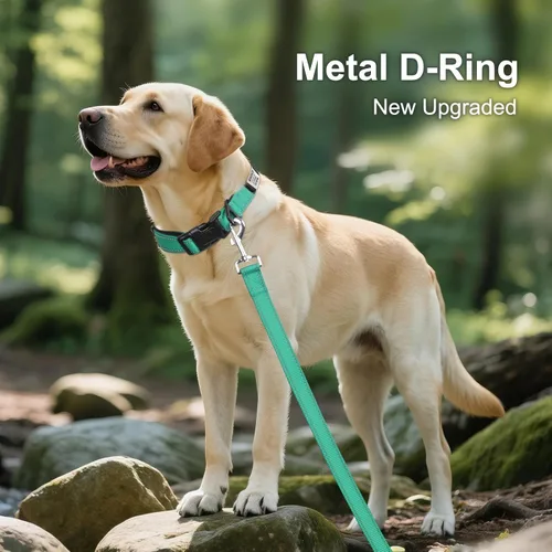 Miniatura 2 de Joytale Collares para perros personalizados, collar de nailon reflectante con placa de nombre grabada, personalizado para perros medianos, verde