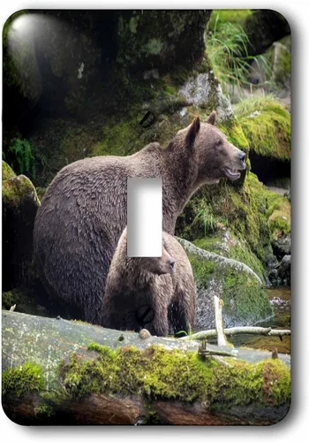 Miniatura 2 de 3dRose Brown bear cub staying close to mom at Anan Creek. 2 plug outlet cover