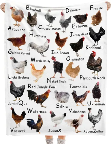 Manta de raza de pollo – Manta de pollo para niños y niñas – Acogedora franela suave, ligera y cálida – Habitación, cama, camping – 30"x40" –