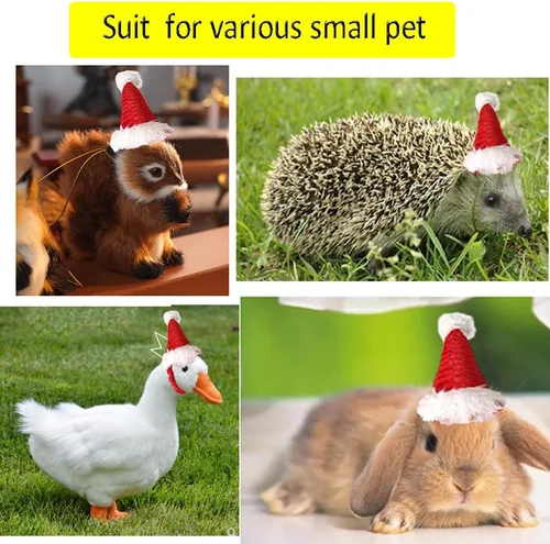 Miniatura 3 de ANIAC Sombreros de hámster de Navidad, disfraz de conejillo de indias, mini sombrero de Santa para gatito, chinchilla, conejo, erizo, hurón