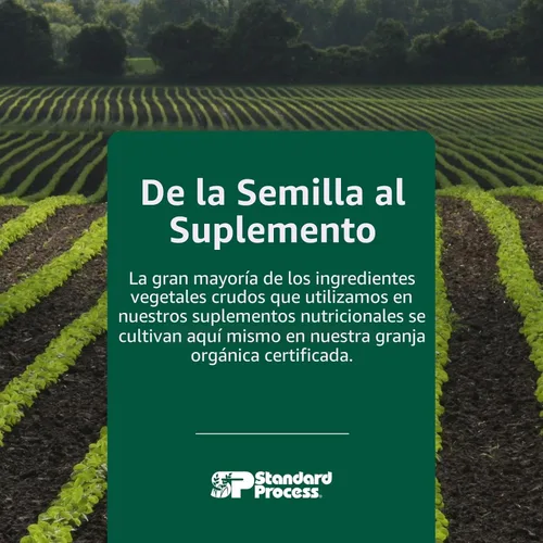Miniatura 7 de Standard Process Inc. Cholacol - Suplemento de apoyo a la vesícula biliar - Suplemento para la digestión de grasas para la salud digestiva