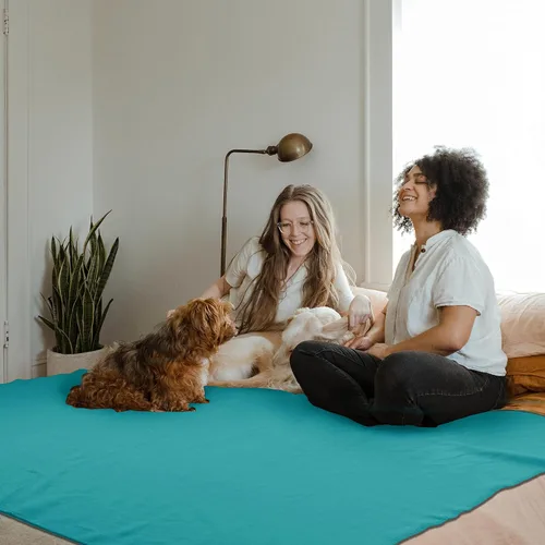 Miniatura 6 de Manta de Forro Polar a Granel, Mantas de Vellón de Color Sólido Ligeras Cálidas Suaves Acogedoras Aptas para Mascotas para Hogar Cama Sofá Sillón