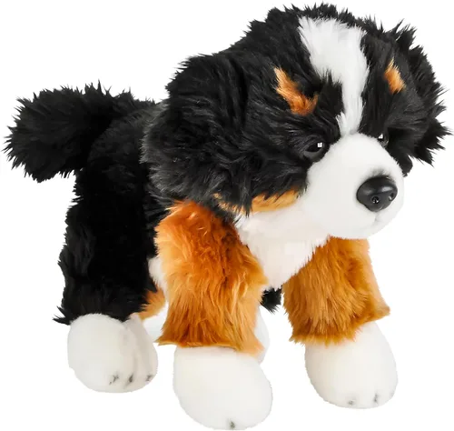 Miniatura 2 de Rhode Island Novelty Adventure Planet Bernese Mountain Dog Heirloom Floppy 12