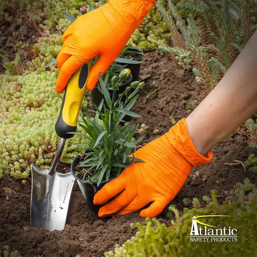 Miniatura 7 de Atlantic Safety Products Outrageous - Guantes desechables de nitrilo de alta resistencia, 8 mil, sin látex ni polvo, naranja, talla M, 1000