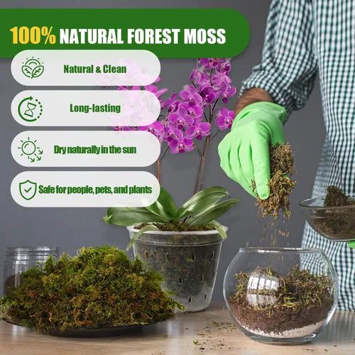 Miniatura 3 de Doter Musgo de bosque seco para plantas (5 cuartos de galón / 1 paquete), musgo para macetas para varias plantas, incluyendo orquídeas, plantas