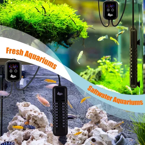Miniatura 7 de AQQA Calentador de acuario, calentador de pecera de 1000 W, calentador sumergible de peces Betta para acuario, termostato para agua dulce y salada