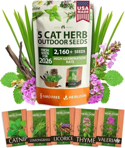 HOME GROWN Mezcla de 2,160 semillas de plantas para gatos – Hierba gatera sin OMG, citronela, regaliz, tomillo y valeriana – Kit de recambio de