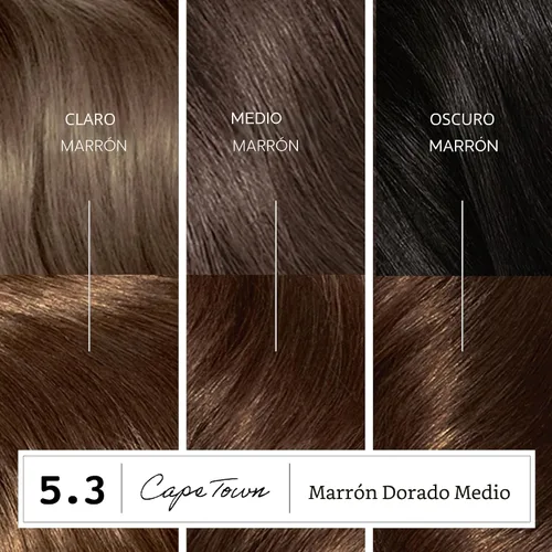 Miniatura 7 de Clairol ColorStrong - Tinte permanente para el cabello sin amoníaco, 5.3 castaño dorado medio, color Ciudad del Cabo, paquete de 1 unidad 5.3 Marrón
