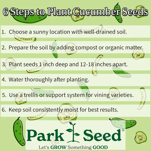 Park Seed Variedad de semillas de pepino, plantación de pepinos, semillas de verduras, fáciles de cultivar, sin OMG, perfectas para cosechar, ocho