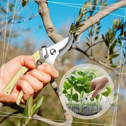 Miniatura 5 de Chumia 6 tijeras de podar de jardín, tijeras de mano resistentes de acero inoxidable para cortar flores, recortar árboles, regalos de jardinería