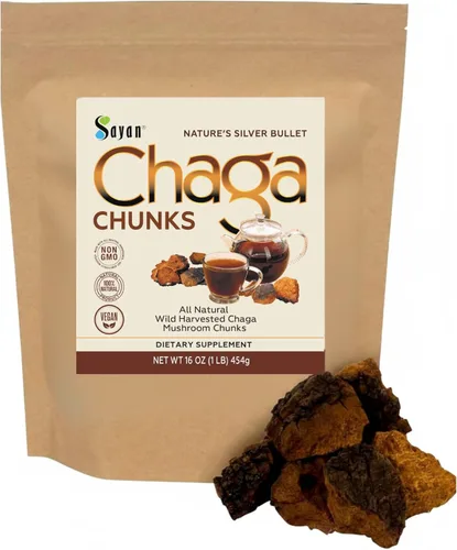 Sayan Siberian - Trozos de hongo chaga puro crudo con corteza superior negra de 16 onzas / 1 libra, té antioxidante cosechado silvestre prémium para