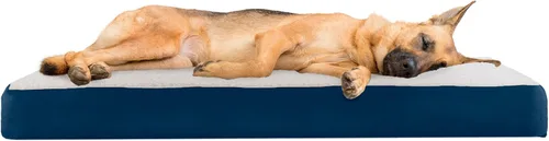 Furhaven Pet – Colchón ortopédico de espuma tradicional para perros y gatos, varios estilos, tamaños y colores