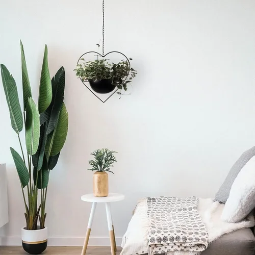 Miniatura 5 de Hajia 1 paquete de soporte para plantas colgantes con forma de corazón con maceta desmontable de 19 cm, maceta colgante moderna de metal negro