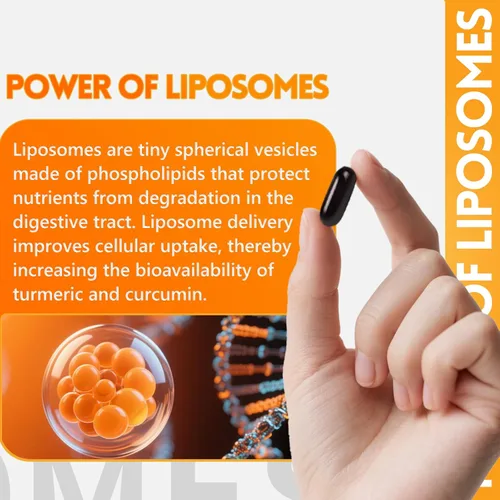 Miniatura 4 de inGreens Suplemento de cúrcuma de 2275 mg, 95% de curcumina, curcumina liposomal para una mejor absorción, suplemento de curcumina para apoyo