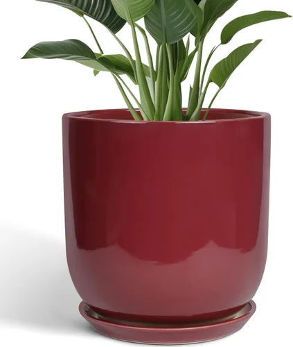 Miniatura 24 de Maceta de Cerámica para Plantas de Interior de 5 Pulgadas - Maceta Redonda para Plantas Suculentas con Agujero de Drenaje y Platillo, Decoración