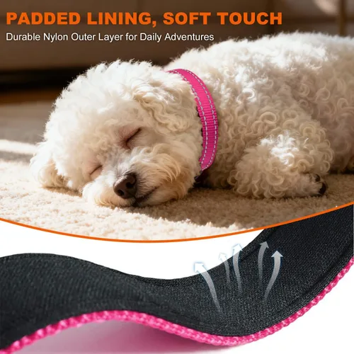 Miniatura 4 de Taglory Collar reflectante para perros con hebilla de bloqueo a prueba de escape, neopreno suave acolchado y anillo de aleación de zinc mejorado