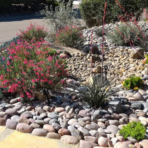 Miniatura 9 de FANTIAN Rocas grandes de río de 20 libras para paisajismo al aire libre, guijarros decorativos de 3 a 4 pulgadas para paisajismo, jardín, patio