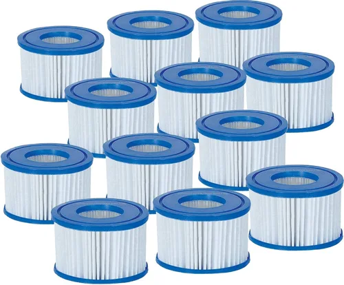 Bestway Paquete de 12 cartuchos de filtro de spa Coleman tipo VI para Lay-Z-Spa 58323