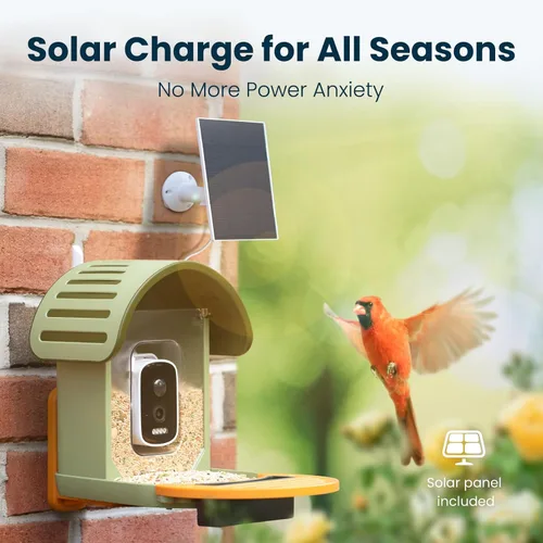 Miniatura 4 de Comedero inteligente para pájaros con cámara, cámara de observación de aves WiFi con energía solar de 2.5 K, identificación de especies de aves AI