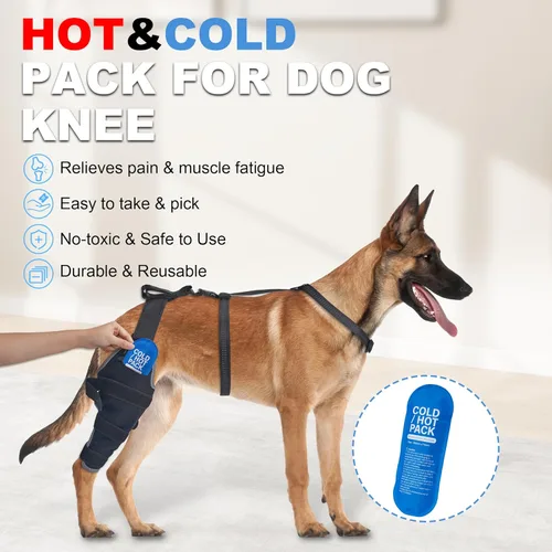 Miniatura 2 de Rodillera para perro para desgarro del ligamento cruzado anterior, soporte de compresión caliente y fría, soporte de rodilla para perros mayores