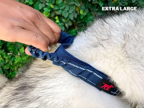 Miniatura 9 de Tuff Pupper Collar de perro resistente con asa Collar de nailon balístico resistente Collar de perro reflectante acolchado con herrajes de acero
