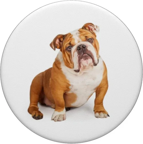 Miniatura 3 de PopSockets Grip and Stand for Phones and Tablets - Chubasquero con diseño de bulldog inglés