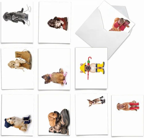 The Best Card Company - 10 tarjetas de perro en blanco surtidas (4 x 5.12 pulgadas) - Adorables tarjetas de notas de animales en caja para todas las