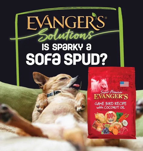 Miniatura 6 de Evanger's Super Gamebird Receta con aceite de coco alimento seco para perros – Bolsa de 4.4 libras – Fórmula hipoalergénica de pato y pavo – Sin