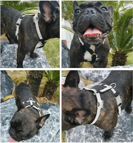Miniatura 5 de HDKUW Arnés de diamantes de imitación brillantes para perro, arnés con hebilla ajustable sin tirones con anillo en D para perros pequeños y medianos