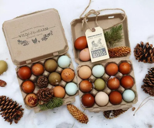 Miniatura 3 de Cartones de huevos vintage para 12 huevos grandes, diseño clásico de 3 x 4, cartón reciclado duradero, estilo granja, embalaje ecológico, paquete