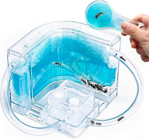 NAVADEAL Ant Farm Castle 2.0 con tubo de conexión, kit de aprendizaje científico de hábitat de hormigas, el mejor juguete educativo STEM 2021 para