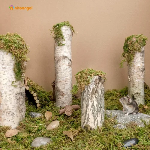 Miniatura 2 de Niteangel Cama de musgo natural suave de musgo de bosque de 5L para hámsters sirios enanos, jerbos, ratones, degus u otros animales pequeños