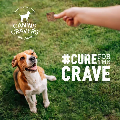 Miniatura 6 de Canine Cravers Golosinas para Perros de Un Solo Ingrediente – Filetes de Cordero Premium - Alimento para Mascotas Hipoalergénico Secado al Aire