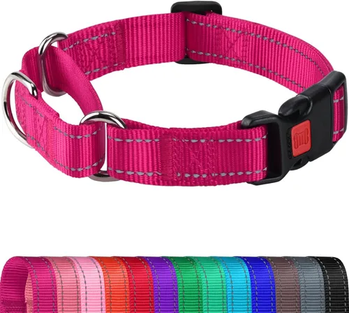 Miniatura 17 de Joytale - Collar martingale para perros, reflectante de alta resistencia para seguridad, hebilla de liberación rápida, collares ajustables de nailon