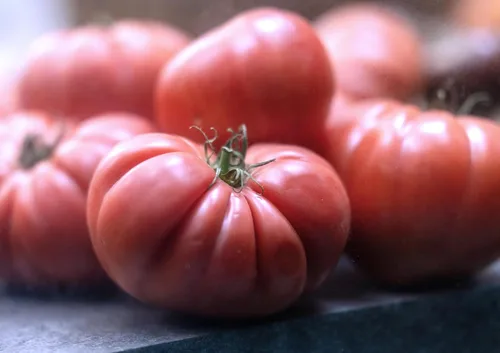 Miniatura 6 de Semillas de tomate rosa Bogema para plantar aproximadamente 30 semillas para plantar sin OMG