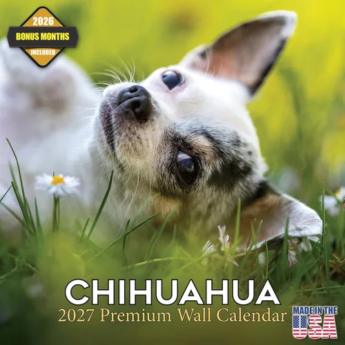 Miniatura 123 de Calendario 2025 2026 de cachorros Cocker Spaniel - Calendario mensual de pared de raza de perro - 12" x 24" abierto - Papel grueso sin sangrado
