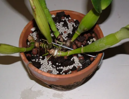 Miniatura 2 de Nutricote 18-6-8 Fertilizante de liberación total de 180 días (1, 5 libras)