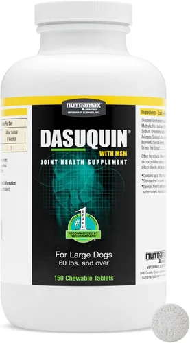 Nutramax Dasuquin con MSM masticables, perro grande, 150 unidades