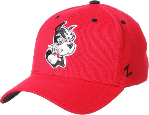 Miniatura 18 de ZHATS - Sombrero ajustado elástico para hombre de la NCAA, color del