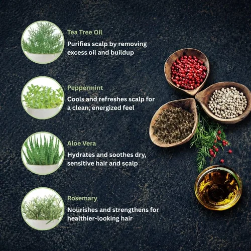 Miniatura 4 de Daeng Gi Meo Ri Tea Tree Cool Shampoo Cuidado del cuero cabelludo refrescante con árbol de té y aloe vera Refresca el cabello graso, hidrata