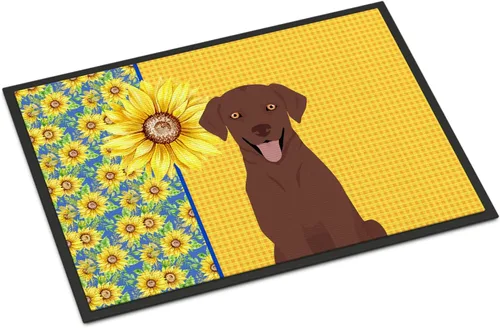 Miniatura 13 de Caroline's Treasures WDK5313MAT Airedale Terrier - Tapete para puerta delantera de 18 x 27 pulgadas, diseño de girasoles de verano, para entrada
