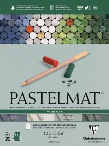 Clairefontaine Pastelmat - Papel especial para pastel (encolado, 30 x 40 cm) - Paleta No. 5 - (12 x 15 3/4 pulgadas) - 360g - 12 hojas - Verde Verde