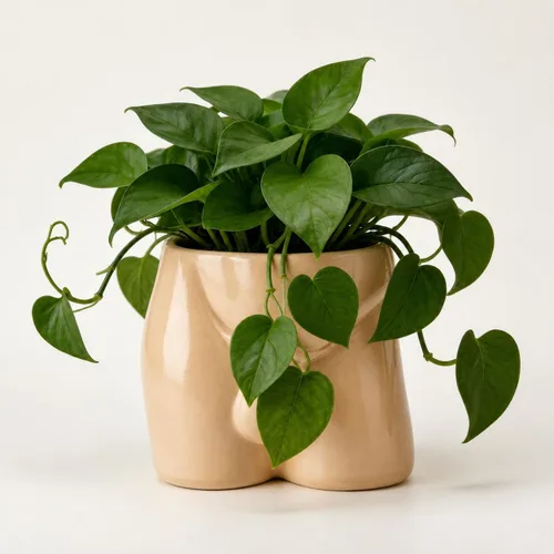 Miniatura 13 de Jarrones de cuerpo para decoración - Maceta de pene, macetas de cuerpo masculino - Jarrón de pene gracioso, maceta para suculentas y cactus