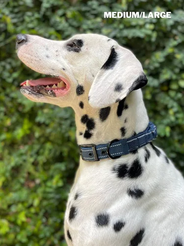 Miniatura 9 de Tuff Pupper Collar de perro resistente con asa Collar de nailon balístico resistente Collar de perro reflectante acolchado con hardware Azul