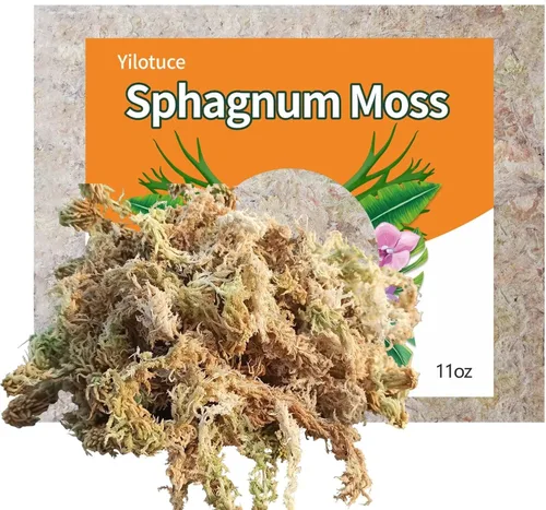 Miniatura 6 de Musgo esfagnum comprimido de 3.2 oz para plantas, musgo esfagnum prémium cuidadosamente seleccionado para orquídeas